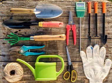 Gardening tools on wooden background flat lay clipart