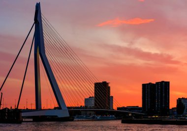Rotterdam şehir cityscape bridge ile