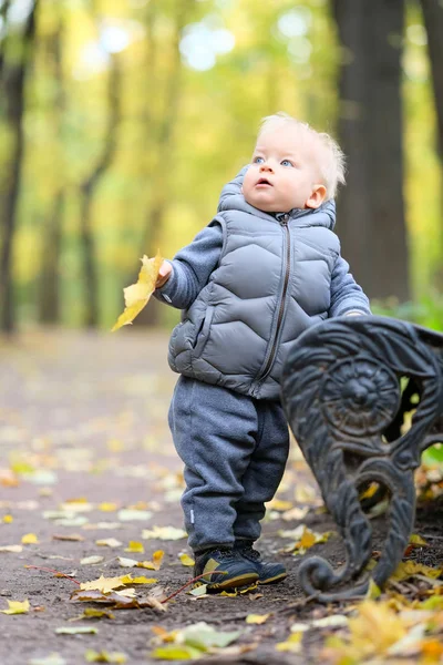 Sarı akçaağaç yaprağı ile erkek bebek