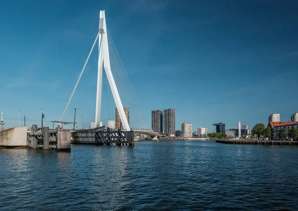 Rotterdam city cityscape with Erasmus bridge — Stock Photo, Image