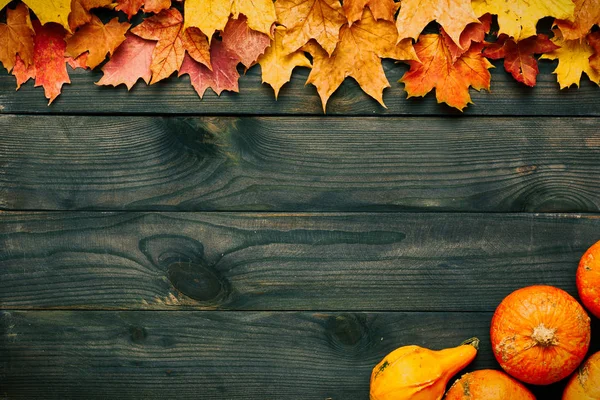 Hojas y calabazas sobre fondo de madera — Foto de Stock