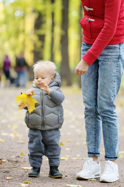 Baby boy in autumn park — Stock Photo, Image