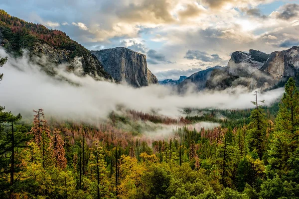 Vallei op bewolkt herfst ochtend — Stockfoto