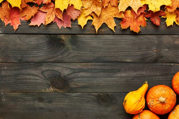 Feuilles d'automne et citrouilles sur fond en bois — Photo