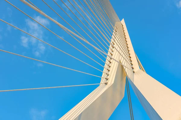 Ponte Erasmus em Roterdão — Fotografia de Stock