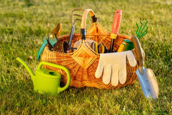 Gardening tools in basket and watering can — Stock Photo, Image