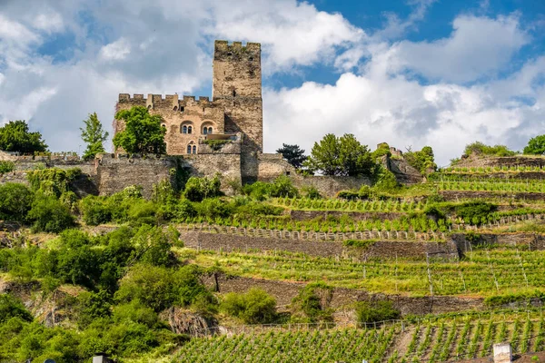 Gutenfels Kalesi ve üzüm bağları 