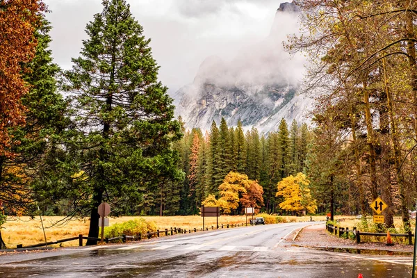 Camino húmedo en la mañana de otoño — Foto de Stock