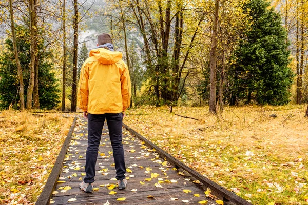 Турист, стоячи в Національний парк Йосеміті — стокове фото