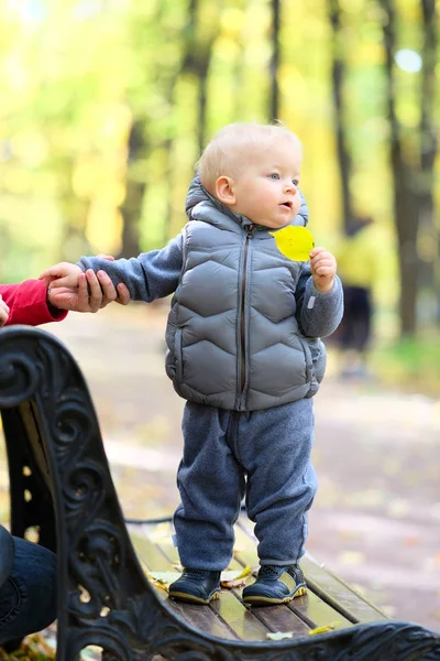  sonbahar parkta duran erkek bebek