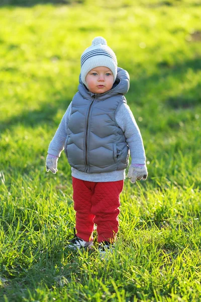 En liten gutt i varm jakke i parken . – stockfoto