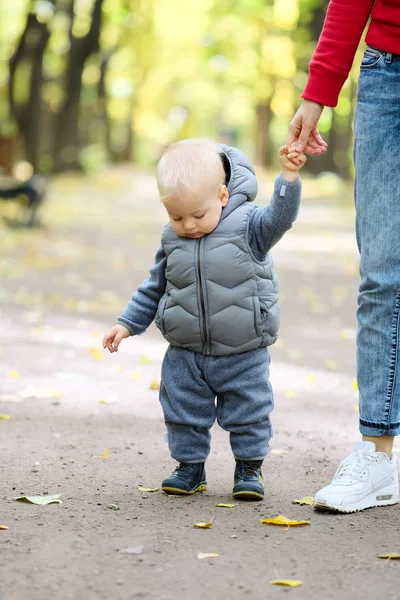 Мальчик в парке учится ходить — стоковое фото