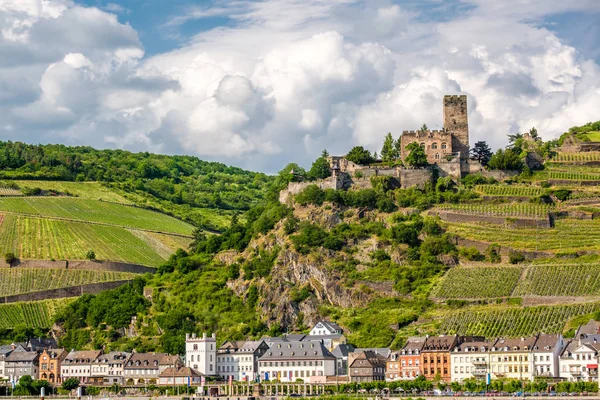 Kale ve üzüm bağları tepelerde