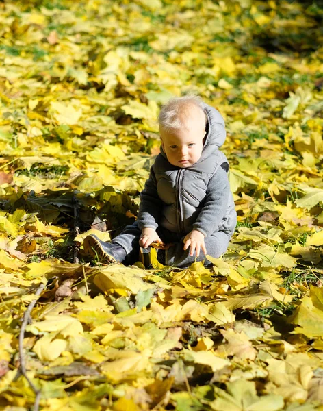 Sarı sonbahar akçaağaç yaprağı ile erkek bebek