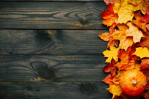 Листья и тыква на деревянном фоне — стоковое фото