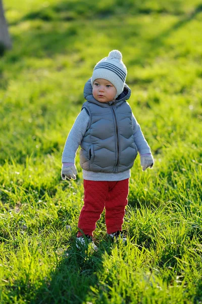 En liten gutt i vest jakke i parken . – stockfoto