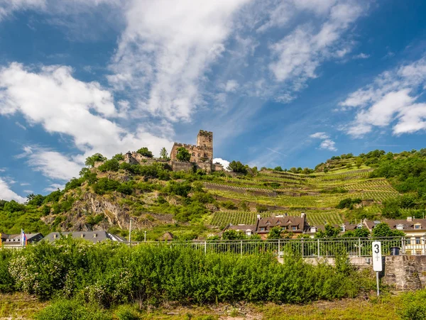 Замок і виноградники на пагорбах — стокове фото