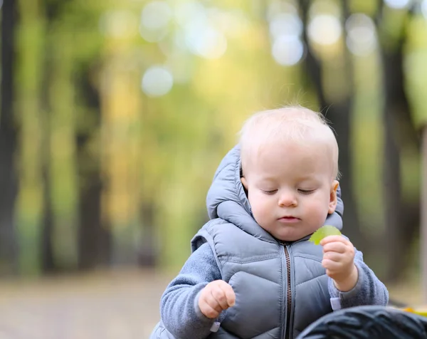 Um ano de idade menino no parque de outono — Fotografia de Stock