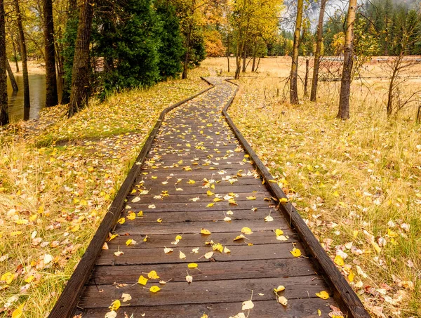 Autumn park with boardwalk — Stock Photo, Image