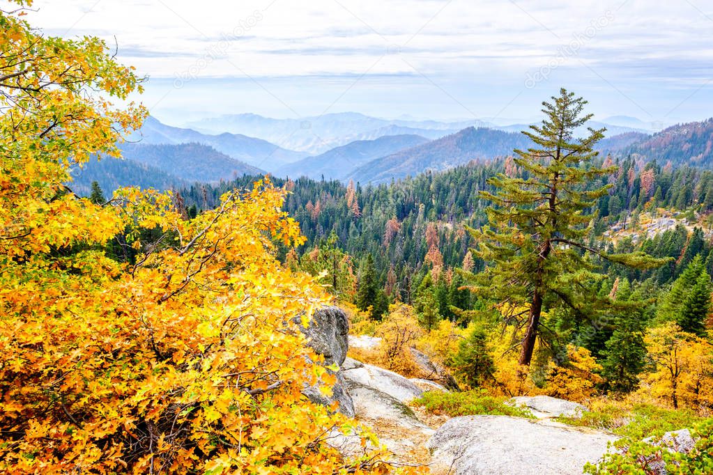 mountain landscape at autumn