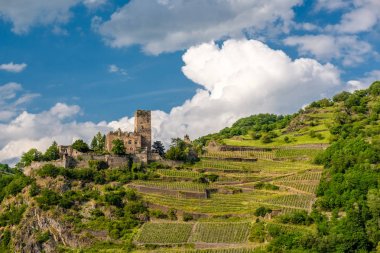 Gutenfels Kalesi ve üzüm bağları Almanya. 