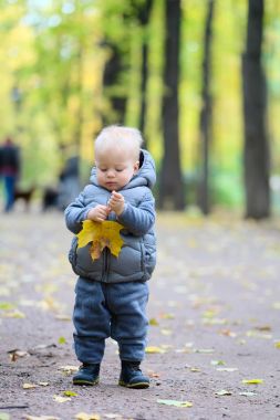 bebek çocuk sonbahar Park