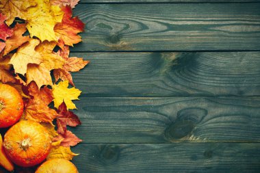 Yaprakları ve kabaklar ahşap arka plan üzerinde 