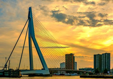 Rotterdam şehir cityscape Erasmus bridge ile
