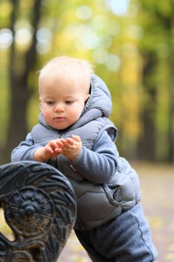 Bir yaşında bebek çocuk sonbahar par