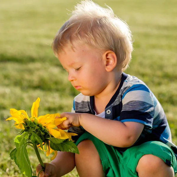 Baby boy looking at sunflower — Stock Photo, Image