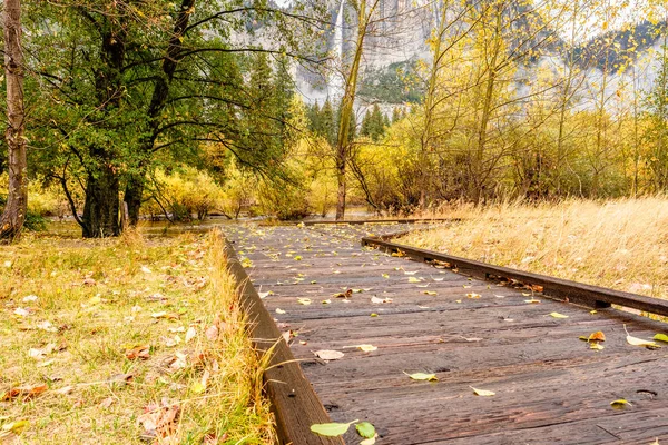 Meadow with boardwalk in autumn — Stock Photo, Image