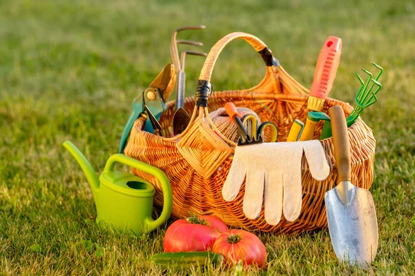 Gardening tools and watering can — Stock Photo, Image