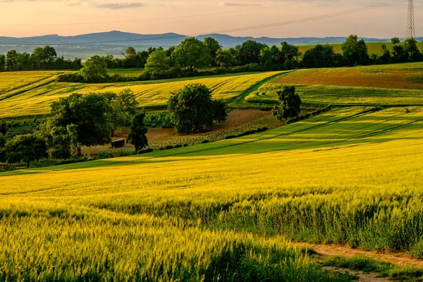 Sanfte Hügel bei Sonnenuntergang — Stockfoto