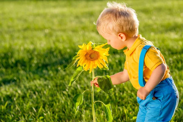 Chlapeček na slunečnice — Stock fotografie