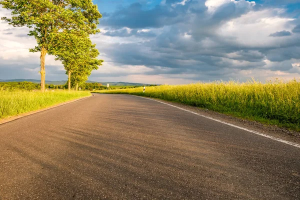 フィールド間の道路 — ストック写真