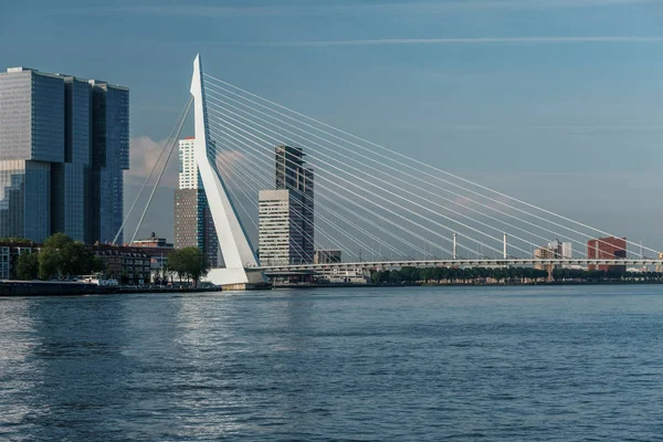 Paisaje urbano con puente Erasmus y río — Foto de Stock