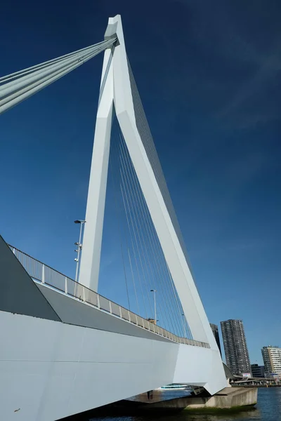 Ponte Erasmus e cielo blu — Foto Stock