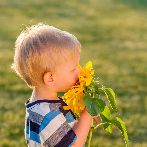 Baby boy with sunflower — Stock Photo, Image