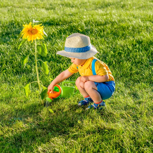 Ragazzo utilizzando annaffiatoio per girasole — Foto Stock