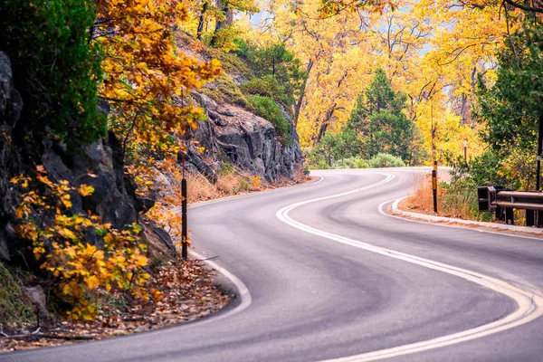 秋の森の近くの曲線道路 — ストック写真