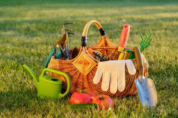Gardening tools in basket — Stock Photo, Image