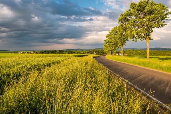 Landstraße zwischen Feldern. — Stockfoto