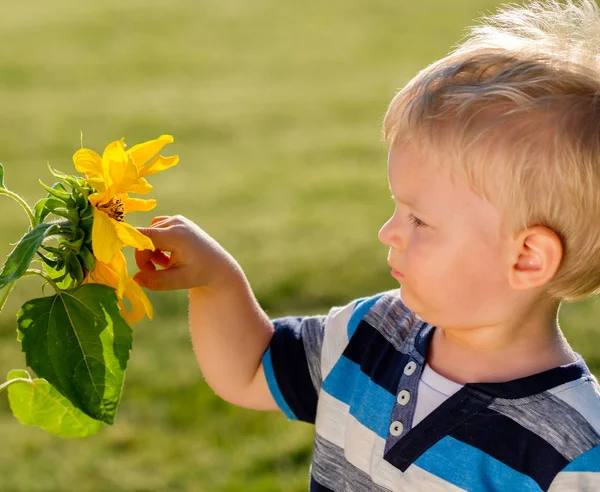 Baby boy kijken zonnebloem — Stockfoto