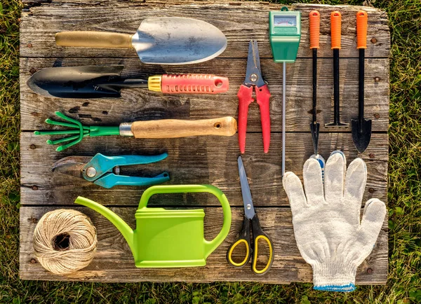 Gardening tools on wooden table — Stock Photo, Image