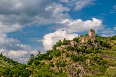 Kale ve Yeşil üzüm bağları 