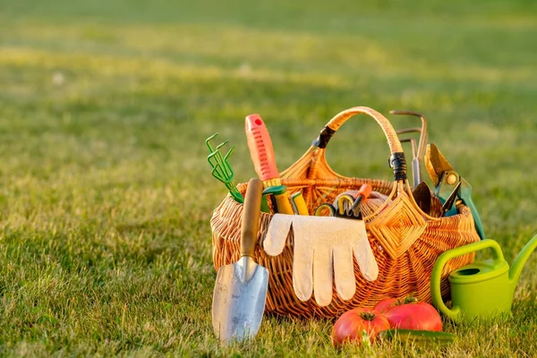 Gardening tools in basket — Stock Photo, Image