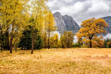 Yosemite Ulusal Parkı