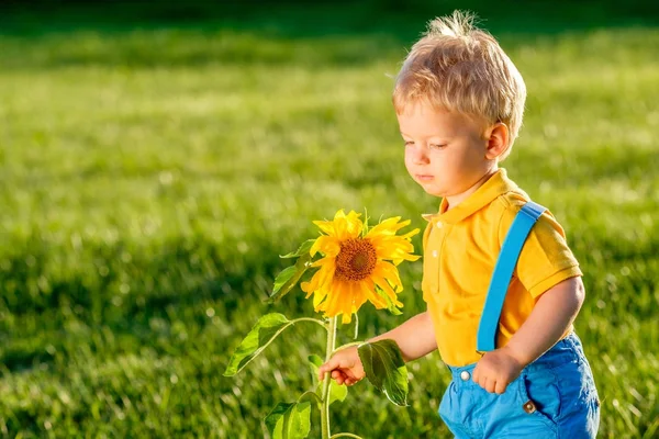 Chłopiec dziecko ogląda słonecznik — Zdjęcie stockowe