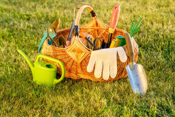 Herramientas de jardinería en canasta de mimbre — Foto de Stock