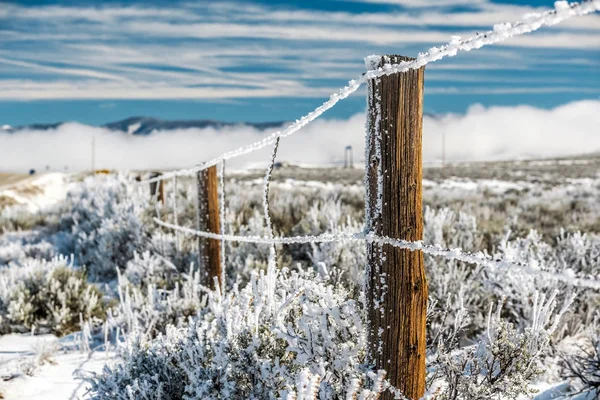 Paysage avec givre sur la clôture — Photo